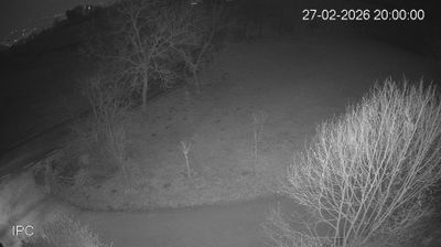 immagine della webcam nei dintorni di Isola Vicentina: webcam Velo d'Astico