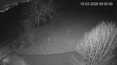 immagine della webcam nei dintorni di Lusiana: webcam Velo d'Astico