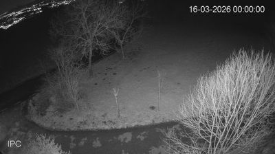 immagine della webcam nei dintorni di Asiago: webcam Velo d'Astico