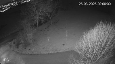 immagine della webcam nei dintorni di Asiago: webcam Velo d'Astico