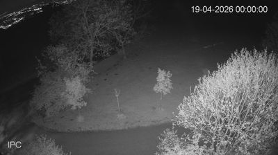 immagine della webcam nei dintorni di Rifugio Campogrosso: webcam Velo d'Astico