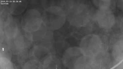 immagine della webcam nei dintorni di Pisa: webcam Quercianella