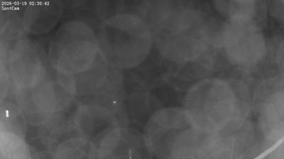 immagine della webcam nei dintorni di Pisa: webcam Quercianella