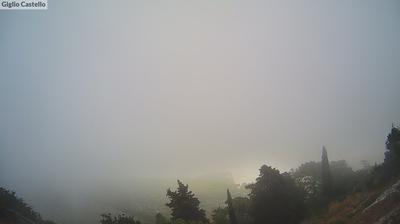 Preview delle webcam di Isola del Giglio