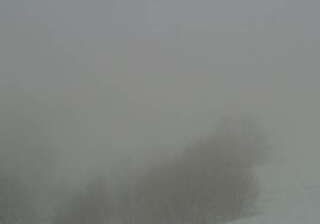 immagine della webcam nei dintorni di Pamparato: webcam Artesina