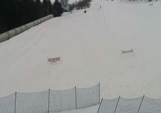 immagine della webcam nei dintorni di Monesi: webcam Artesina