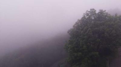immagine della webcam nei dintorni di Valsecca: webcam Pasturo