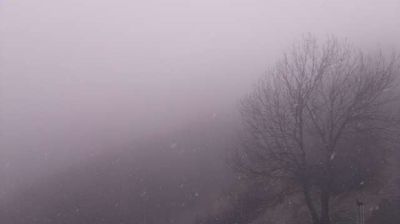 immagine della webcam nei dintorni di Abbadia Lariana: webcam Pasturo