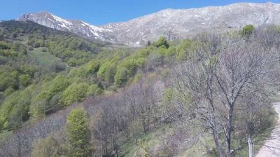 immagine della webcam nei dintorni di Malgrate: webcam Pasturo