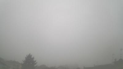 Preview delle webcam di Goito