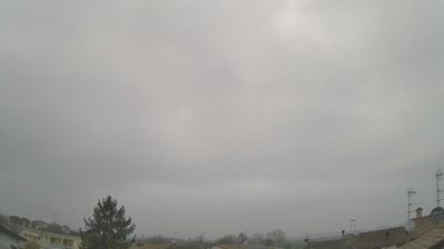 Preview delle webcam di Goito