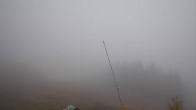 immagine della webcam nei dintorni di Niardo: webcam Dosso Pasò