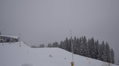 immagine della webcam nei dintorni di Schilpario: webcam Dosso Pasò