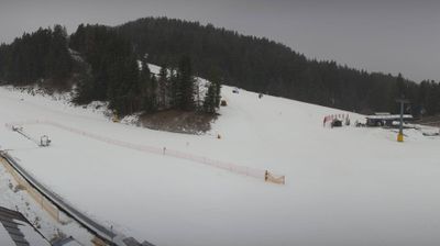 immagine della webcam nei dintorni di Cavedago: webcam Fai della Paganella