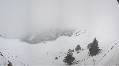 immagine della webcam nei dintorni di Barzio: webcam Piani di Bobbio