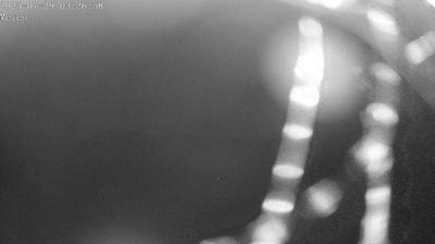 immagine della webcam nei dintorni di Crespadoro: webcam Posina