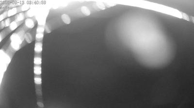 immagine della webcam nei dintorni di Malga San Giorgio: webcam Posina
