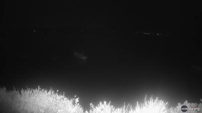 immagine della webcam nei dintorni di Isola Piana: webcam Matzaccara