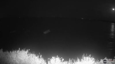 immagine della webcam nei dintorni di Carloforte: webcam Matzaccara