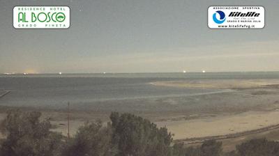 immagine della webcam nei dintorni di Monfalcone: webcam Grado Pineta