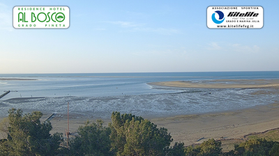 immagine della webcam nei dintorni di Duino-Aurisina: webcam Grado Pineta