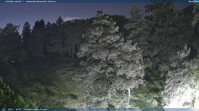 immagine della webcam nei dintorni di Senna Comasco: webcam Albavilla