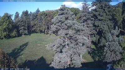 immagine della webcam nei dintorni di Suello: webcam Albavilla