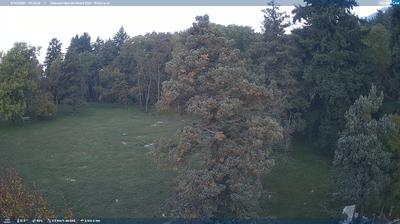 immagine della webcam nei dintorni di Capiago Intimiano: webcam Albavilla