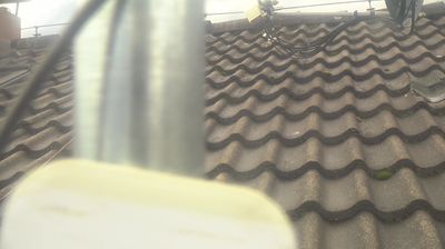 immagine della webcam nei dintorni di San Leonardo in Passiria: webcam Cermes