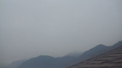 immagine della webcam nei dintorni di Terlano: webcam Cermes