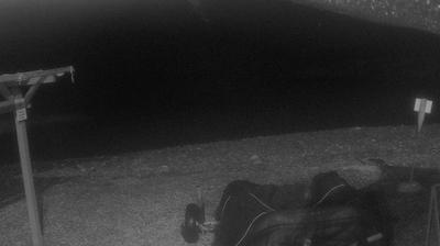 immagine della webcam nei dintorni di Marina Di Andora: webcam Oneglia