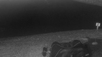 immagine della webcam nei dintorni di Dolcedo: webcam Imperia