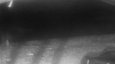 immagine della webcam nei dintorni di Capo Mele: webcam Oneglia