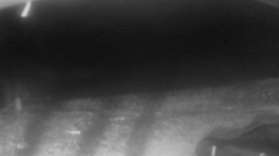 immagine della webcam nei dintorni di Capo Mele: webcam Oneglia