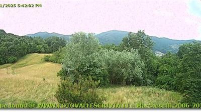 immagine della webcam nei dintorni di Carrega Ligure: webcam Casella