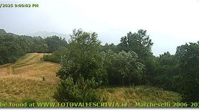 immagine della webcam nei dintorni di Albera Ligure: webcam Casella