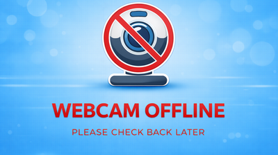 immagine della webcam nei dintorni di Torvaianica: webcam Isola Sacra