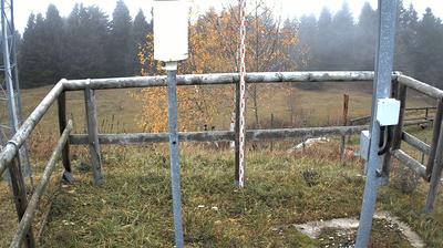 immagine della webcam nei dintorni di Terragnolo: webcam Marco