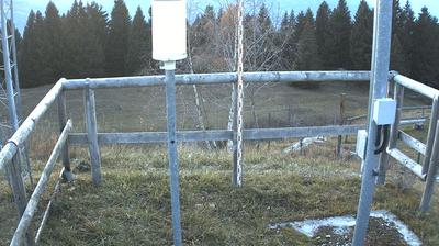 immagine della webcam nei dintorni di Bosco Chiesanuova: webcam Ala