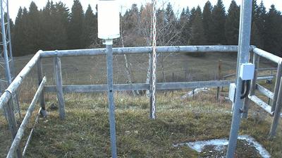 immagine della webcam nei dintorni di Bosco Chiesanuova: webcam Ala