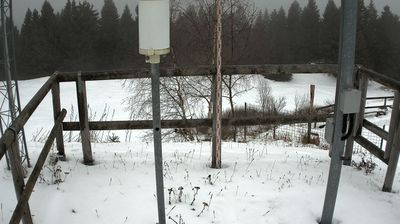 Preview delle webcam di Ala