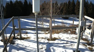 immagine della webcam nei dintorni di Polsa: webcam Ala