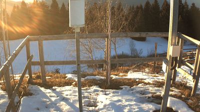 Preview delle webcam di Ala