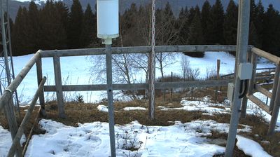 immagine della webcam nei dintorni di Nogaredo: webcam Marco