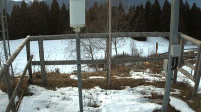 immagine della webcam nei dintorni di Terragnolo: webcam Marco