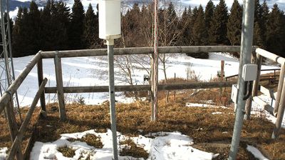 immagine della webcam nei dintorni di Ronzo-Chienis: webcam Marco