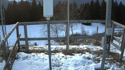 immagine della webcam nei dintorni di Sant'Anna d'Alfaedo: webcam Ala