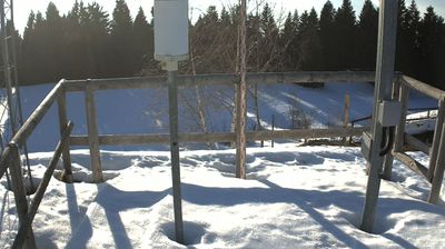 immagine della webcam nei dintorni di Rifugio Campogrosso: webcam Ala