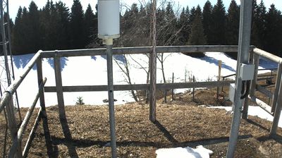 immagine della webcam nei dintorni di Monte Bondone: webcam Marco