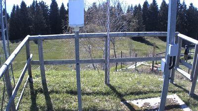 immagine della webcam nei dintorni di Folgaria: webcam Marco